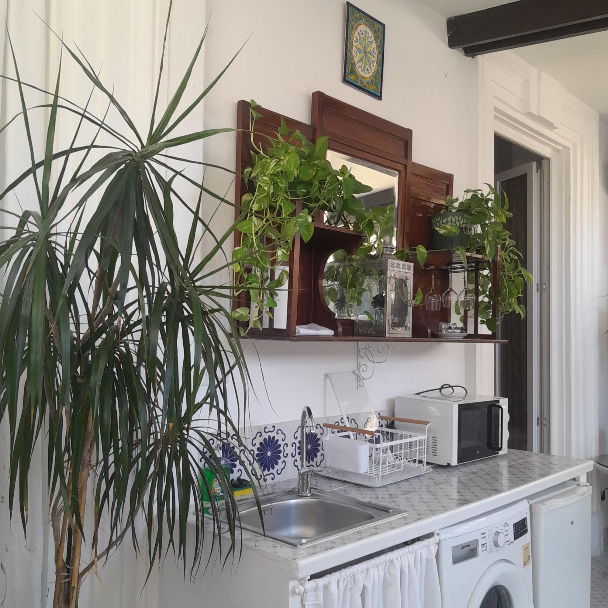 לידו די אוסטיה B&B Lido Liberty מראה חיצוני תמונה